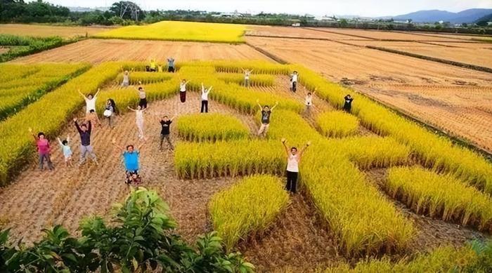 觀光農業——休閒農場