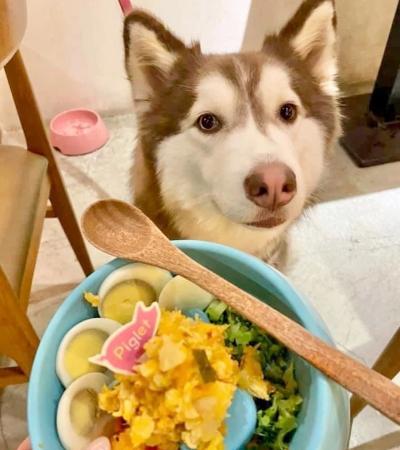 彼克蕾友善咖啡館餐點